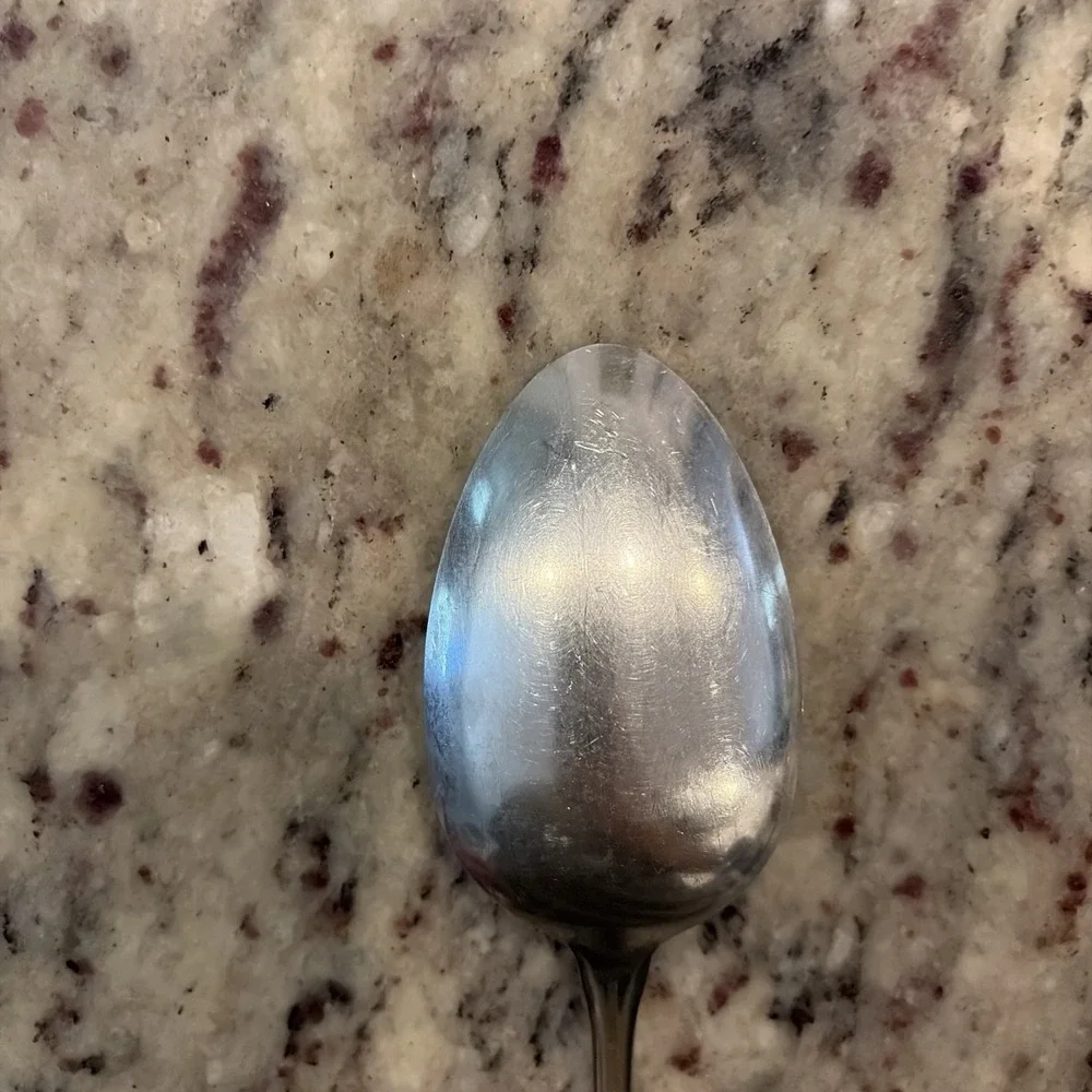 Set of 2 Oneida 1881 Rogers Twilight Burnished Stainless Serving Spoons 8.25